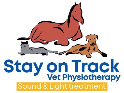 Stay on Track Vet Physiotherapy