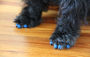 Dr. Buzby’s ToeGrips - instant traction on slippery surfaces