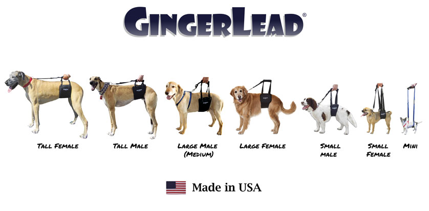 GingerLead Support Sling